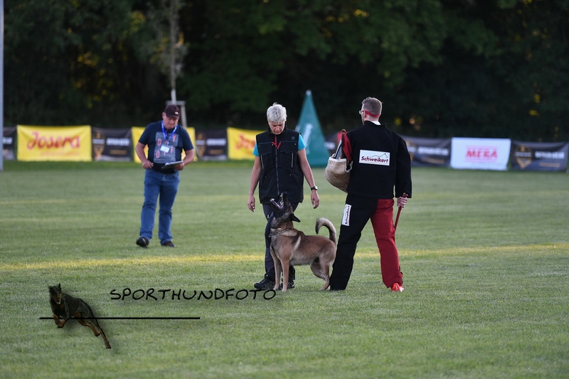 Impressionen 470.jpg